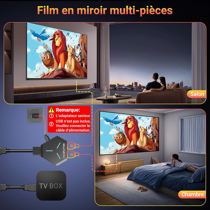 Avant Avis KiWiBiRD HDMI Splitter 1 entrée 2 sorties Le Test Complet pour Savoir s'il Faut l'Acheter