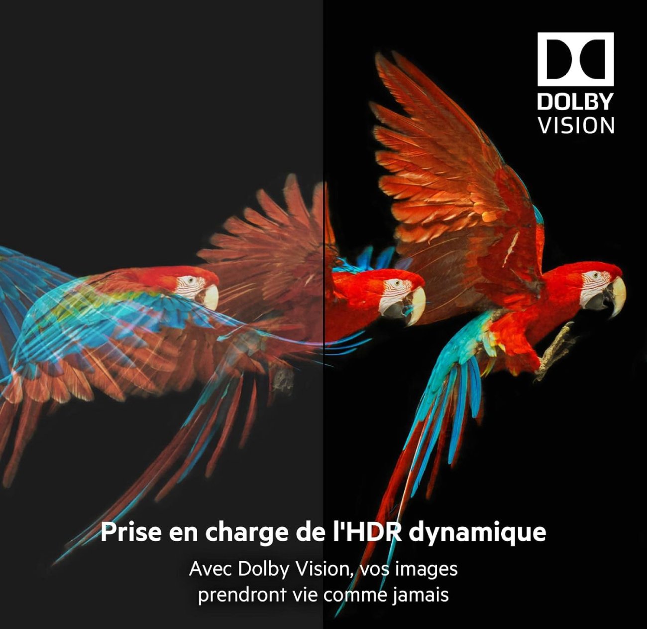 Avis sur le Cable HDMI Belkin Ultra HD HDMI 2.0 - Qualité d'Image